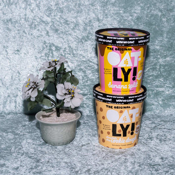 Banana Split Pint stacked on top of Chocolate Chip Cookie Dough Pint