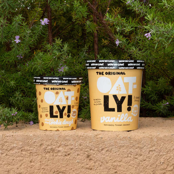 Chocolate Chip Cookie Dough Frozen Dessert